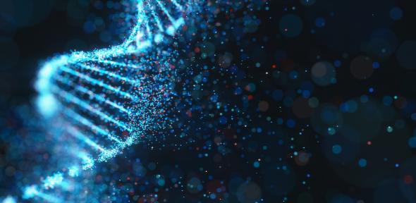 DNA